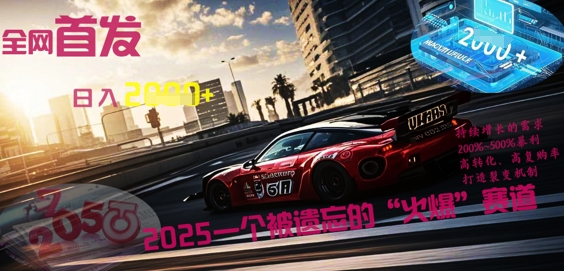 全网首发：2025一个被遗忘的“火爆”赛道轻松日入多张-蓝天网创