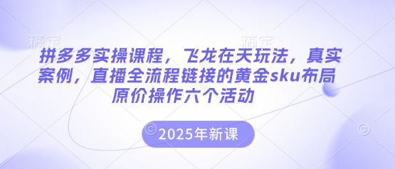 拼多多实操课程，飞龙在天玩法，真实案例，直播全流程链接的黄金sku布局原价操作六个活动-蓝天网创