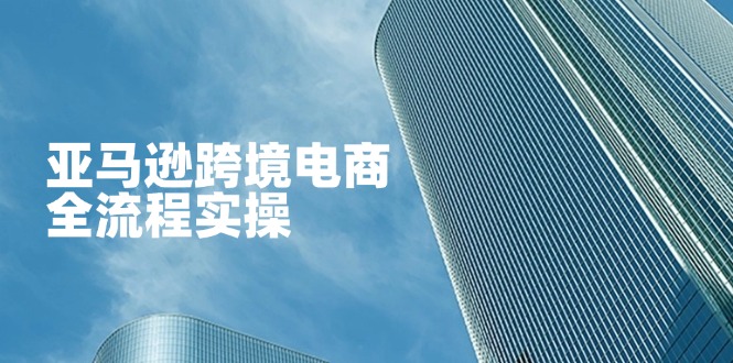 （14252期）亚马逊跨境电商全流程实操，教你从零开始，掌握店铺运营与广告技巧-蓝天网创