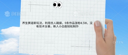 AI养生赛道新玩法，10条作品涨粉5.2W，操作简单，新人小白能轻松制作-蓝天网创