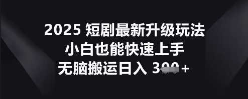 2025短剧最新升级玩法，小白也能快速上手，无脑搬运日入3张-蓝天网创