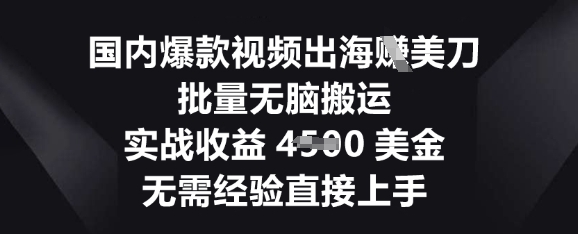 国内爆款视频出海挣美刀，批量无脑搬运，实战收益4.5k，无需经验直接上手-蓝天网创