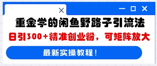重金学的闲鱼野路子引流法，日引300+精准创业粉，可矩阵放大-蓝天网创