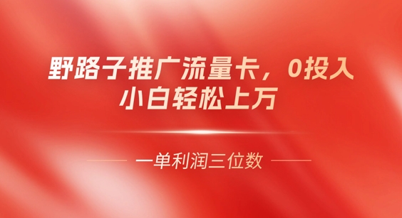 0门槛推广流量卡，一单收益上百，0投入，小白月入过W-蓝天网创