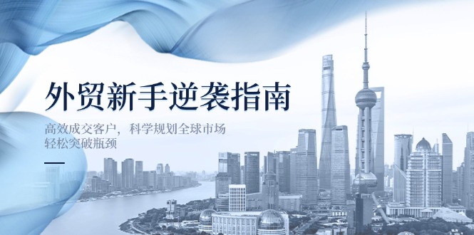 （14201期）外贸新手逆袭指南：高效成交客户，科学规划全球市场，轻松突破瓶颈-蓝天网创