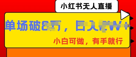 小红书无人直播，纯小白可做，有手就行，单场直播销售额破8w-蓝天网创
