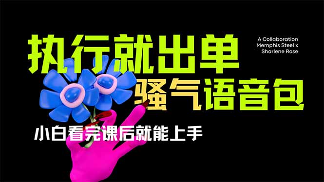 （14170期）爆火全网的开车导航骚气语音包,只要执行就出单，小白看完课程就能实操...-蓝天网创