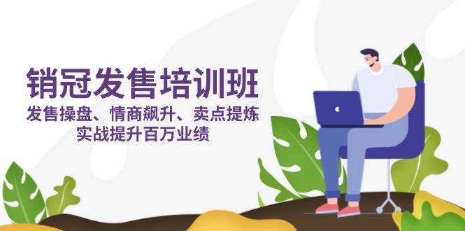 （14203期）销冠 发售培训班：发售 操盘+情商 飙升+卖点 提炼，实战提升百万业绩-蓝天网创