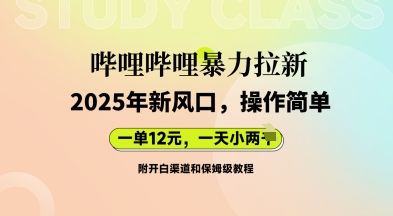 哔哩哔哩暴力拉新:2025年新风口,一单12元,一天数张(附开白渠道和保姆级教程)-蓝天网创